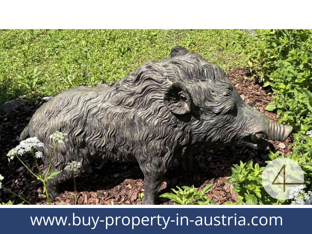 buy-property-in-austria-gostling an der ybbs-3345-20250916081856-0030301014.jpg